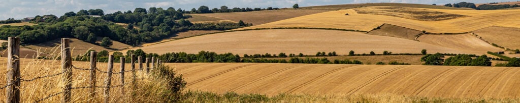 Fields during a drought